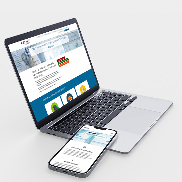 Instruct Website für die Firma Instruct